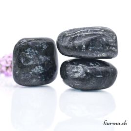 Serpentine avec Pyroxène - Pierre roulée - Taille L