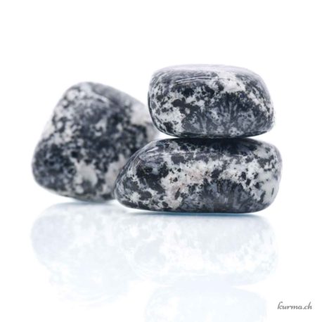 Diorite orbiculaire - Pierre roulée - Taille L
