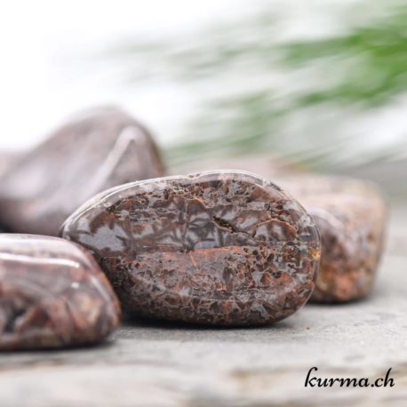 Rounded coprolite - Rolled stone - Size S