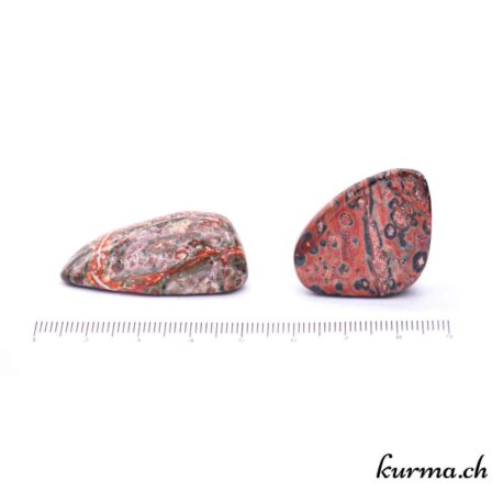 Leopard Jasper - Rolled stone - Size M