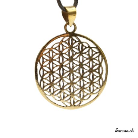 Kaufe diesen Messinganhänger im Kûrma Online Shop. Jedes Stück wird mit größter Sorgfalt ausgewählt. Kûrma ist ein Shop, der sich auf Qualitätssteine spezialisiert hat, die direkt von den Steinmetzen importiert werden.