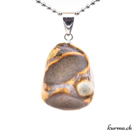 Fossil Jaspis Anhänger Silber Schnalle