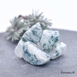 Agate arborisée - Pierre brute de poche Arrondis - Taille S