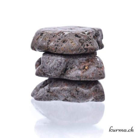 Fetta di coprolite - pietra burattata - Taglia M