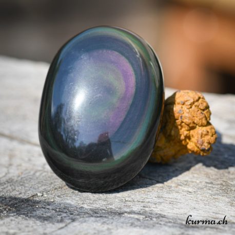 Obsidian Celestial eye - Pebble - 79gr - Unique piece