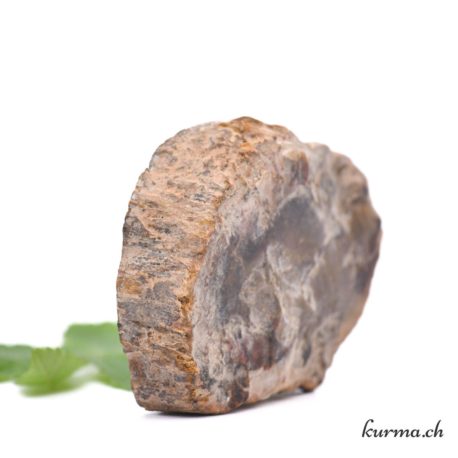 Bois fossilisé - Minéraux - 58gr