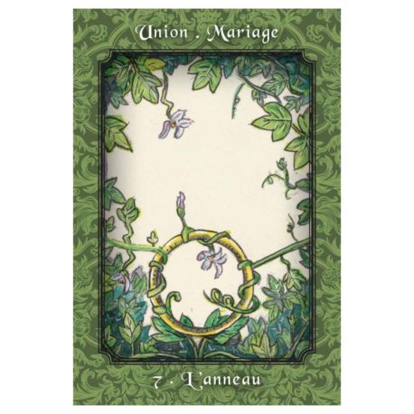 Oracle cards - L&#039;oracle de l&#039;arbre de vie