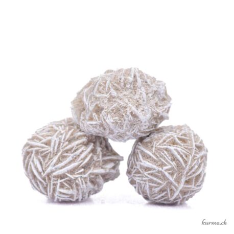 Rose des sables - Minéraux - Taille L